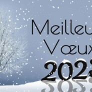 Meilleurs vœux !
